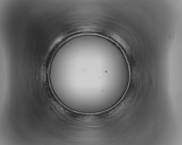 X0000115781067200911201307
