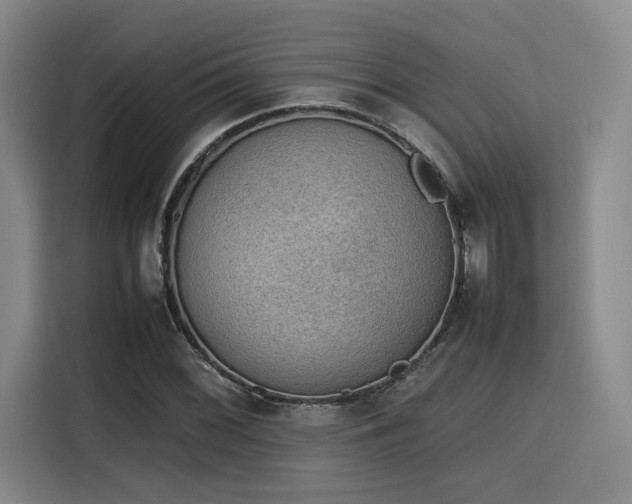 X0000115781068200911201307