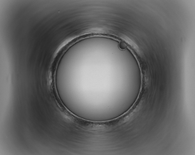 X0000115781070200911201307