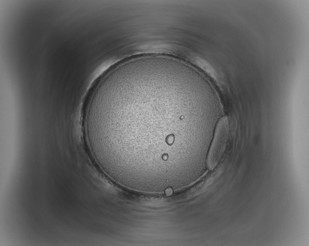 X0000115781071200911201307