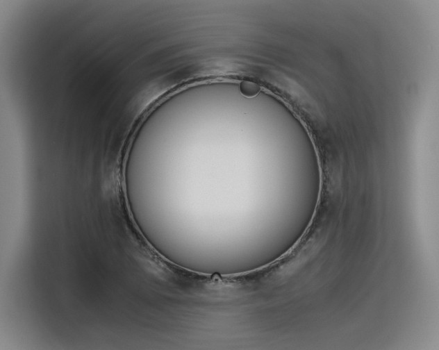 X0000115781073200911201307