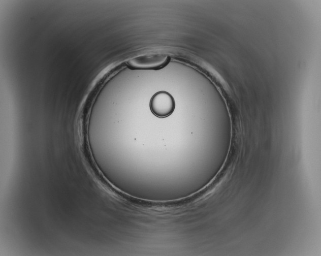 X0000115781075200911201307