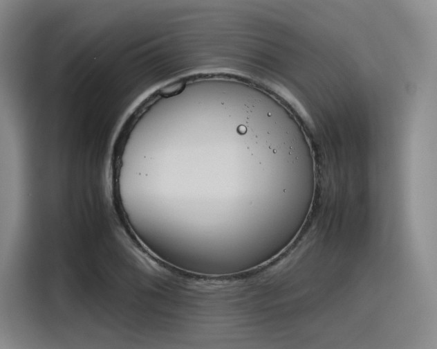 X0000115781076200911201307