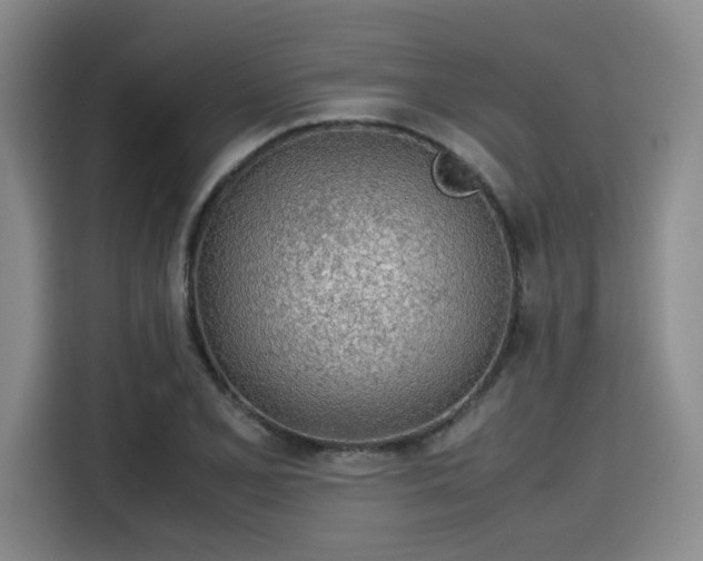 X0000115781077200911201307