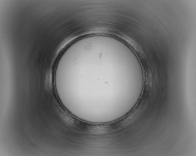 X0000115781078200911201307