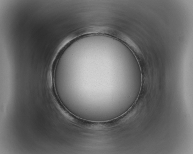 X0000115781079200911201307
