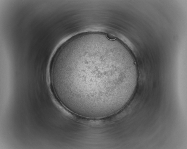 X0000115781080200911201307