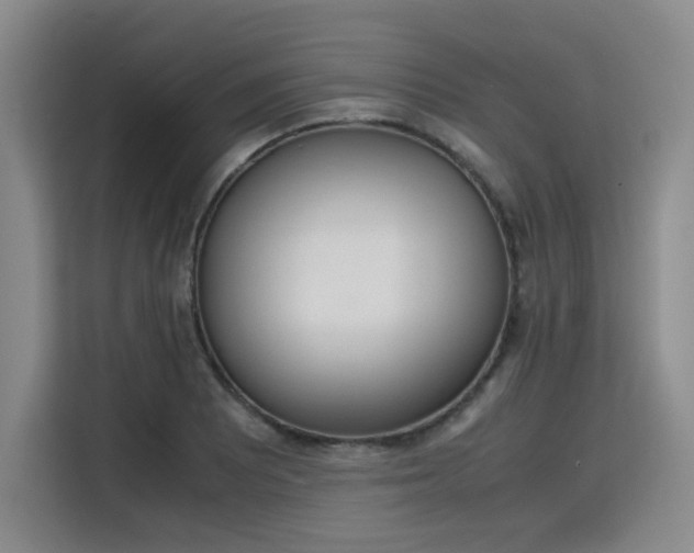 X0000115781081200911201307