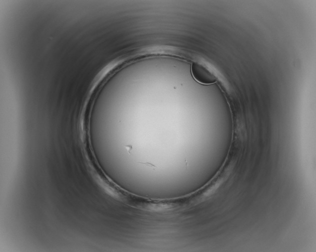 X0000115781082200911201307