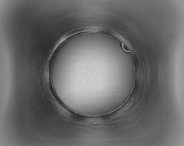 X0000115781083200911201307
