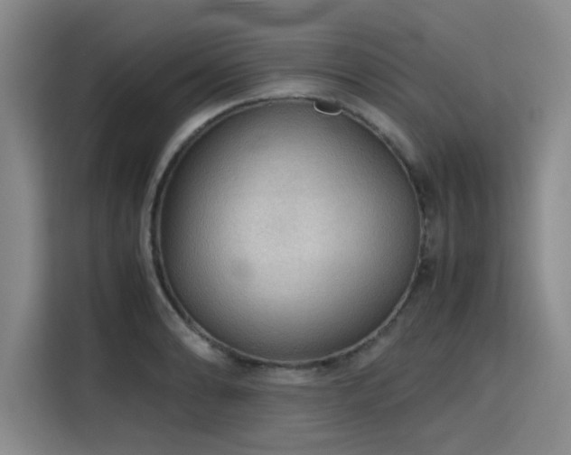 X0000115781086200911201307