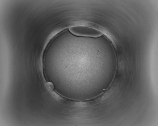 X0000115781088200911201307