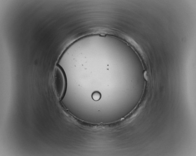 X0000115781089200911201307