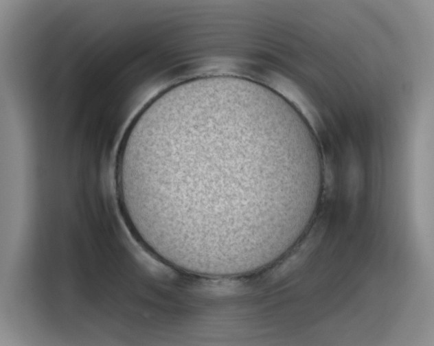 X0000115781090200911201307