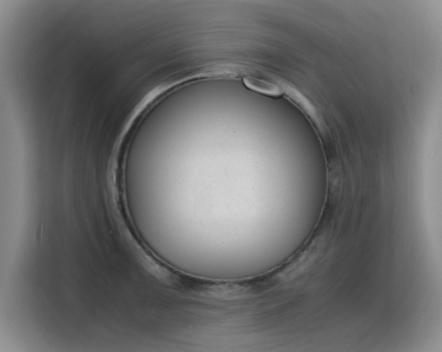 X0000115781091200911201307