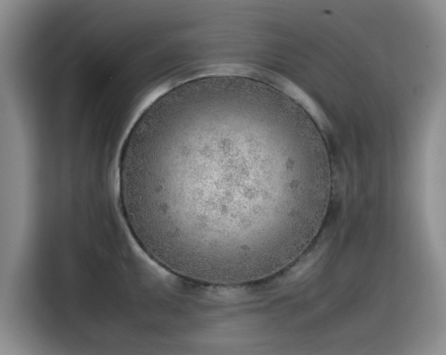 X0000115781095200911201307