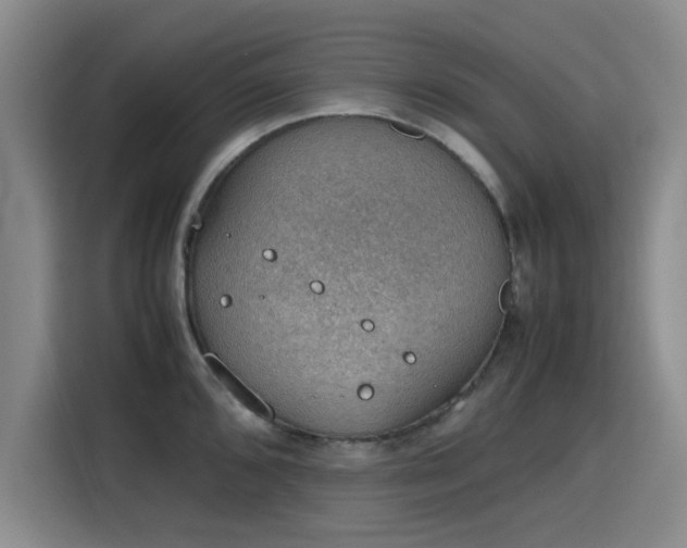 X0000115781096200911201307