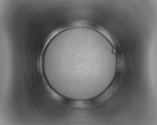 X0000115781098200911201307