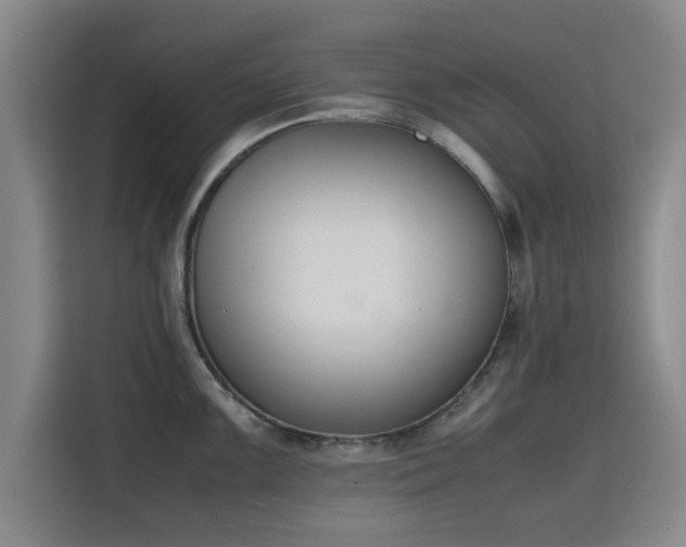 X0000115781099200911201307
