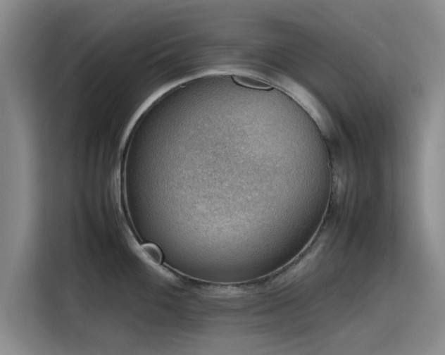 X0000115781100200911201307