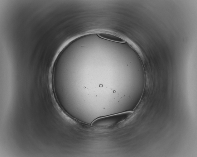 X0000115781102200911201307