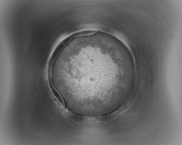 X0000115781104200911201307