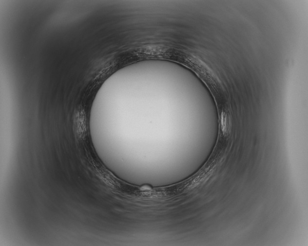 X0000115781107200911201306