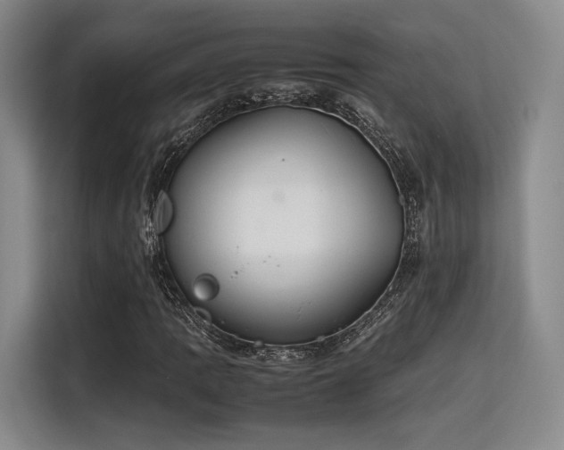 X0000115781109200911201306