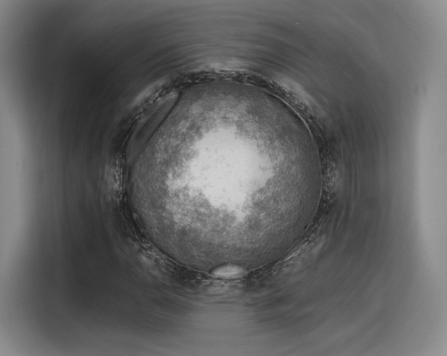 X0000115781110200911201306