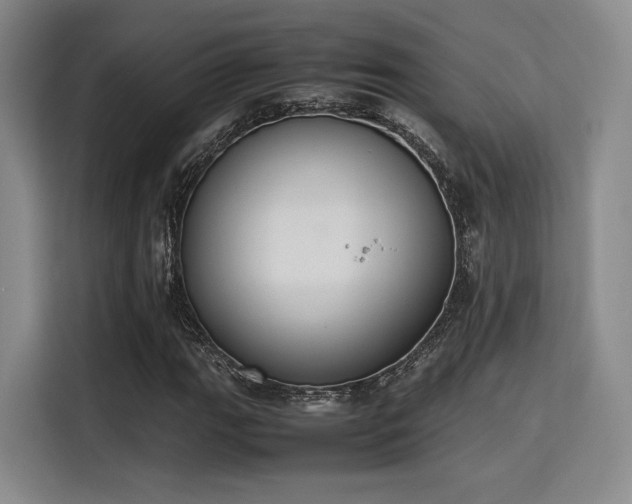 X0000115781111200911201306