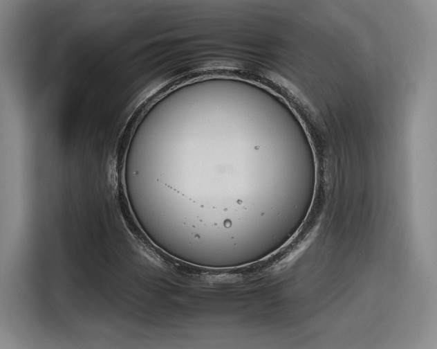 X0000115781113200911201306