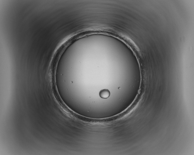 X0000115781114200911201306