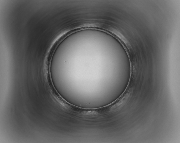 X0000115781119200911201306