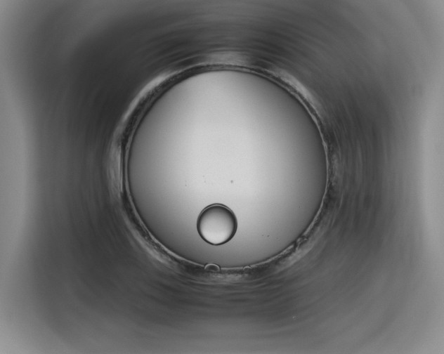X0000115781123200911201306