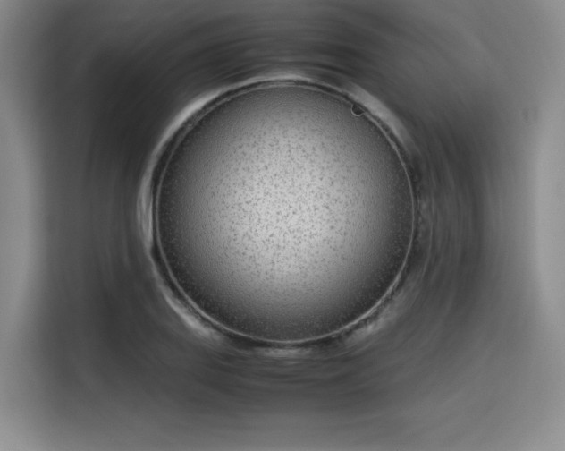 X0000115781127200911201306