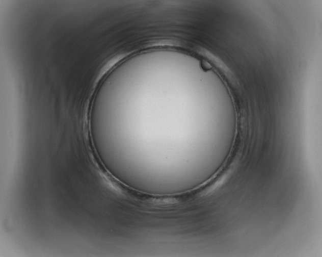 X0000115781129200911201306