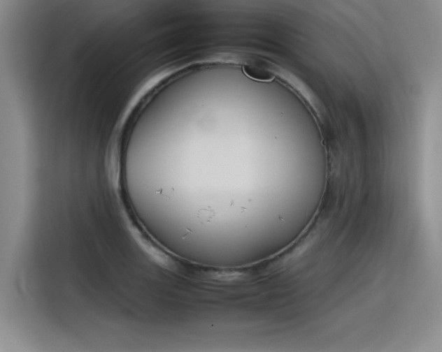 X0000115781131200911201306