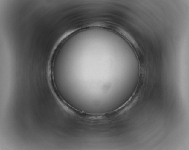 X0000115781133200911201306