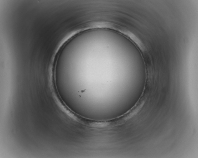 X0000115781134200911201306
