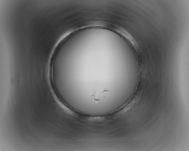 X0000115781135200911201306