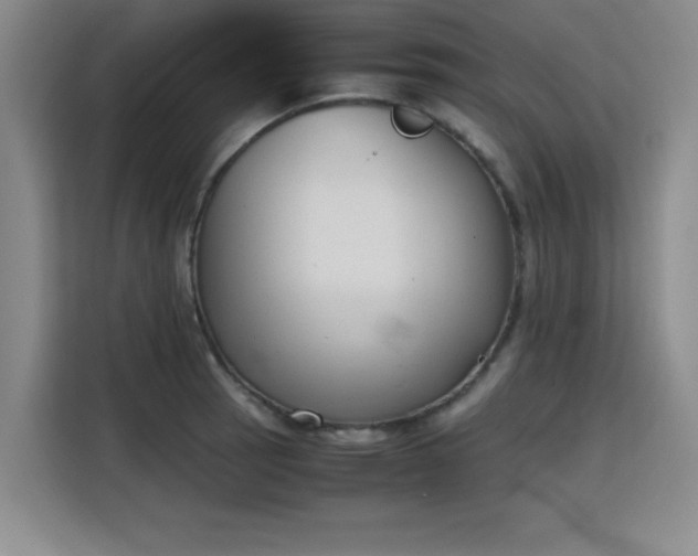 X0000115781137200911201306