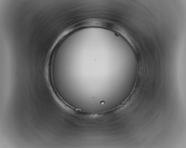 X0000115781139200911201306