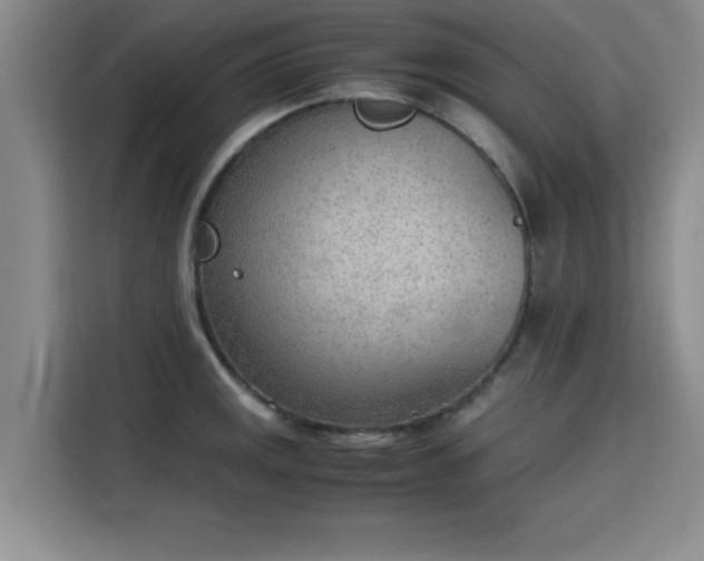 X0000115781141200911201306