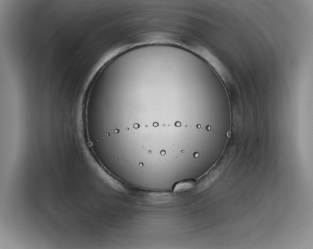 X0000115781142200911201307