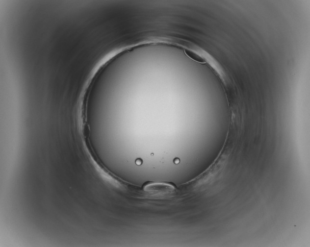 X0000115781143200911201307
