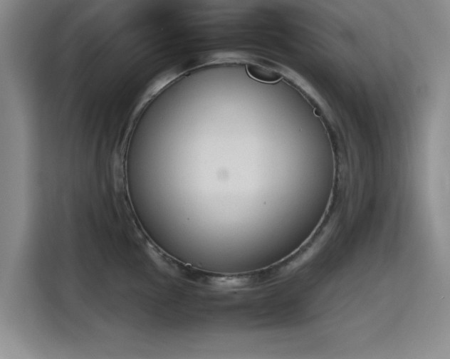 X0000115781145200911201307