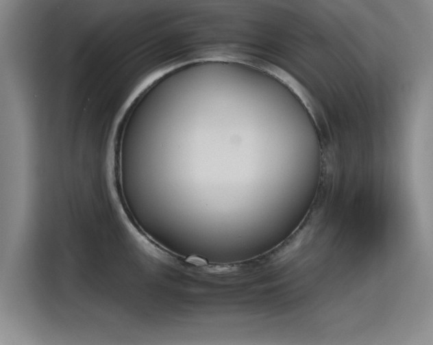 X0000115781147200911201307