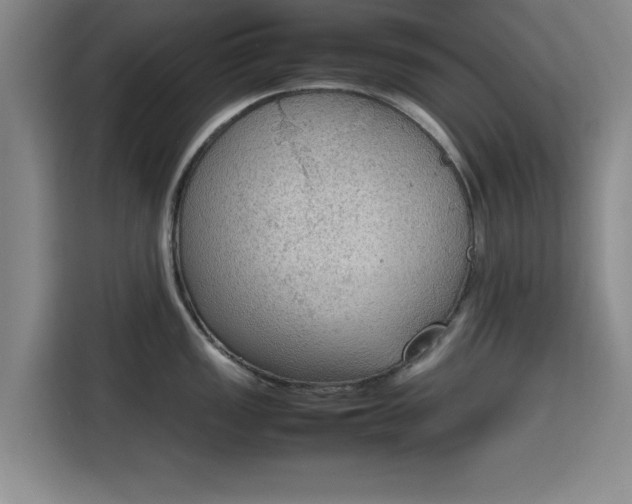 X0000115781149200911201307
