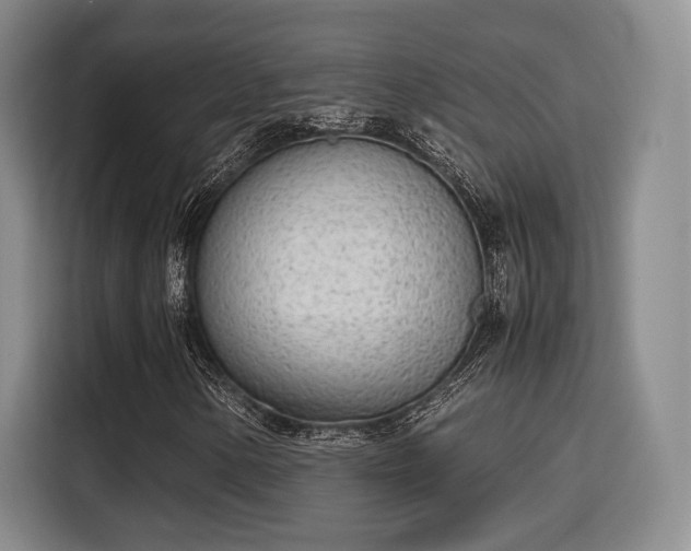 X0000115781154200911201306