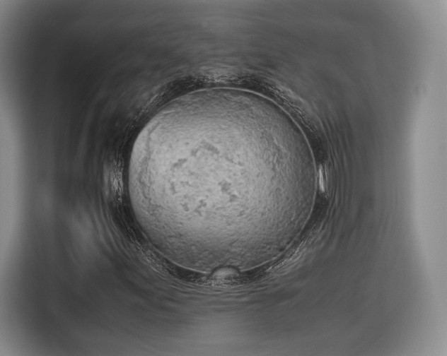 X0000115781155200911201306